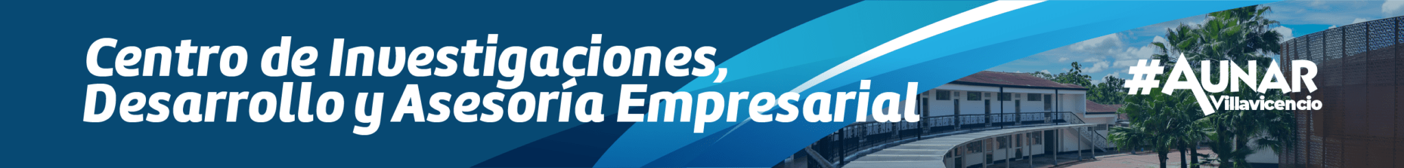 Centro de Investigaciones, Desarollo y Asesoría Empresarial – CIDAE