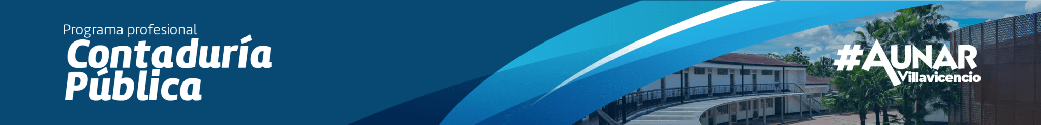 Contaduría Pública