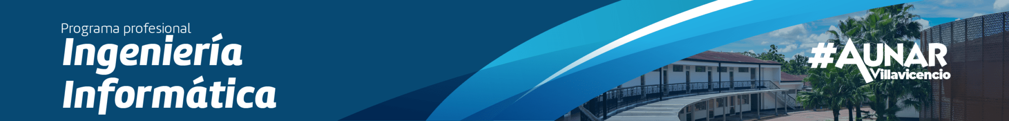 Ingeniería Informatíca