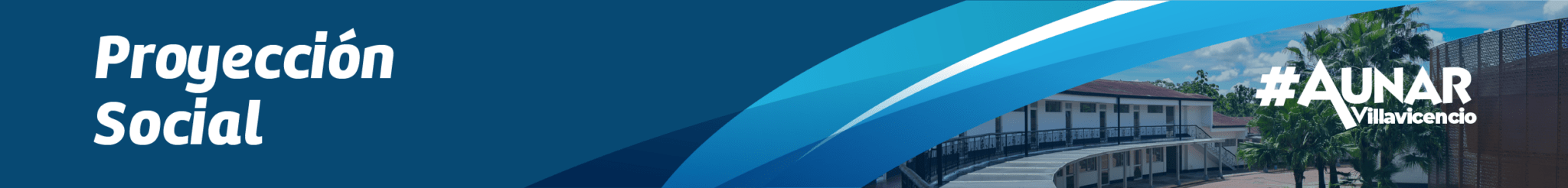 Proyección Social