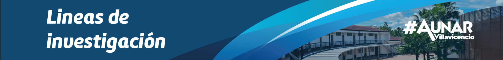 Líneas de Investigación